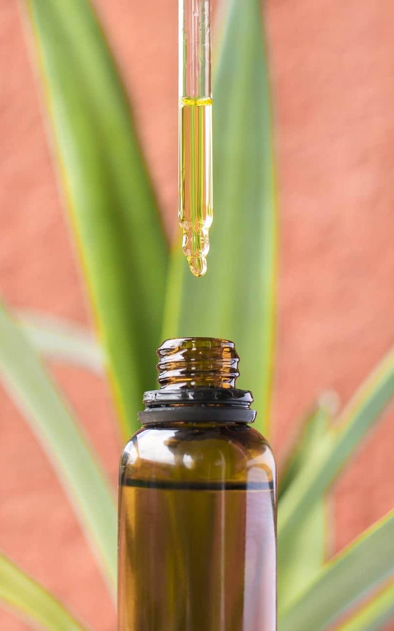 שמן CBD לחרדה – לכמה זמן זה משפיע?