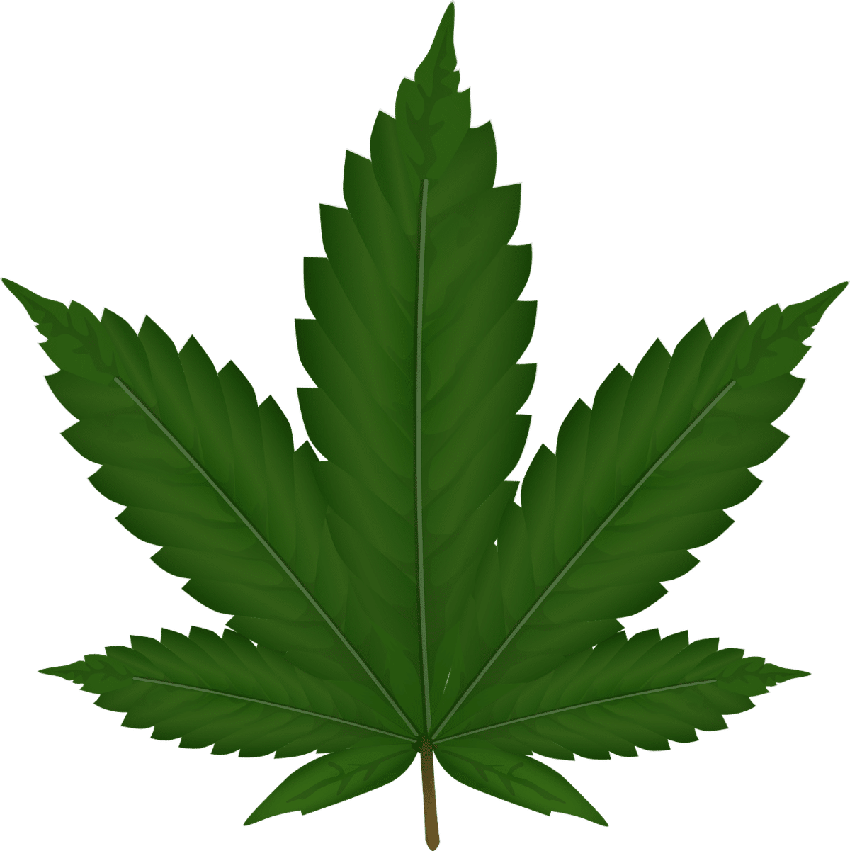תהליך המיצוי של שמן CBD